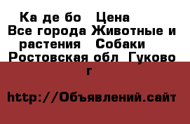 Ка де бо › Цена ­ 25 - Все города Животные и растения » Собаки   . Ростовская обл.,Гуково г.